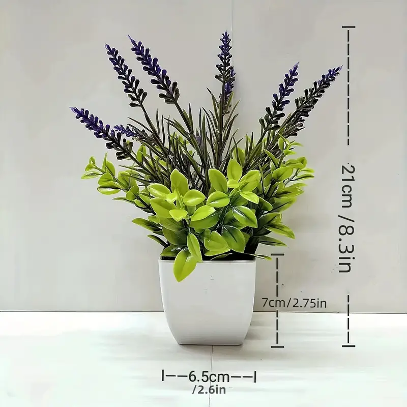 TEMU公式サイト画像