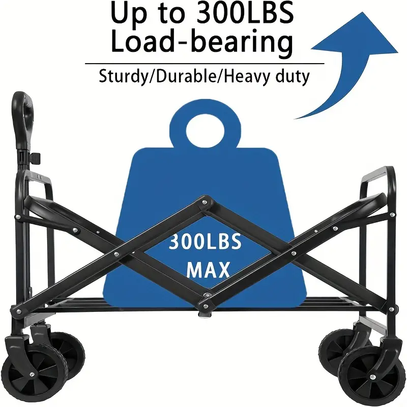 TEMU公式サイト掲載画像